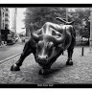 Meet your Posher, Steve